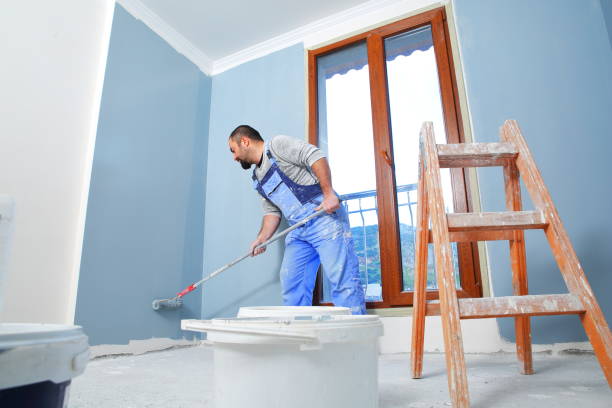 Best Industrial Mold Remediation  in Serenada, TX